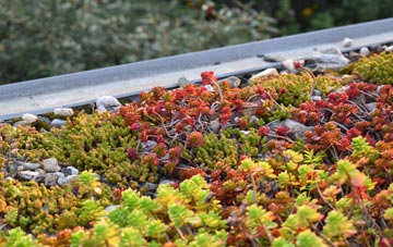 the cost of Warhill green roof installation