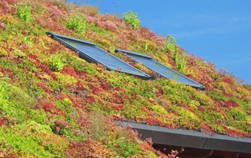 Warhill living roof systems